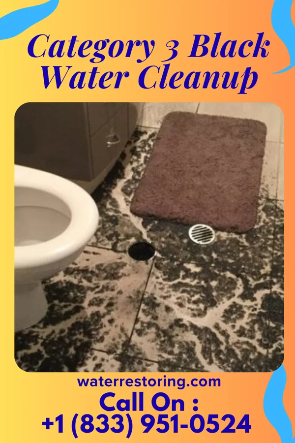 Category 3 Black Water Cleanup in Raymond, MS