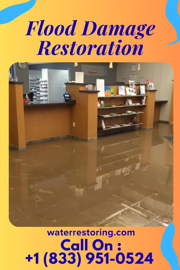 Flood Damage Restoration in Raymond, MS